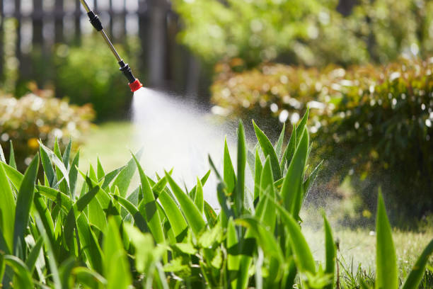 24/7 Emergency Wasp Removal experts in Elmhurst, IL